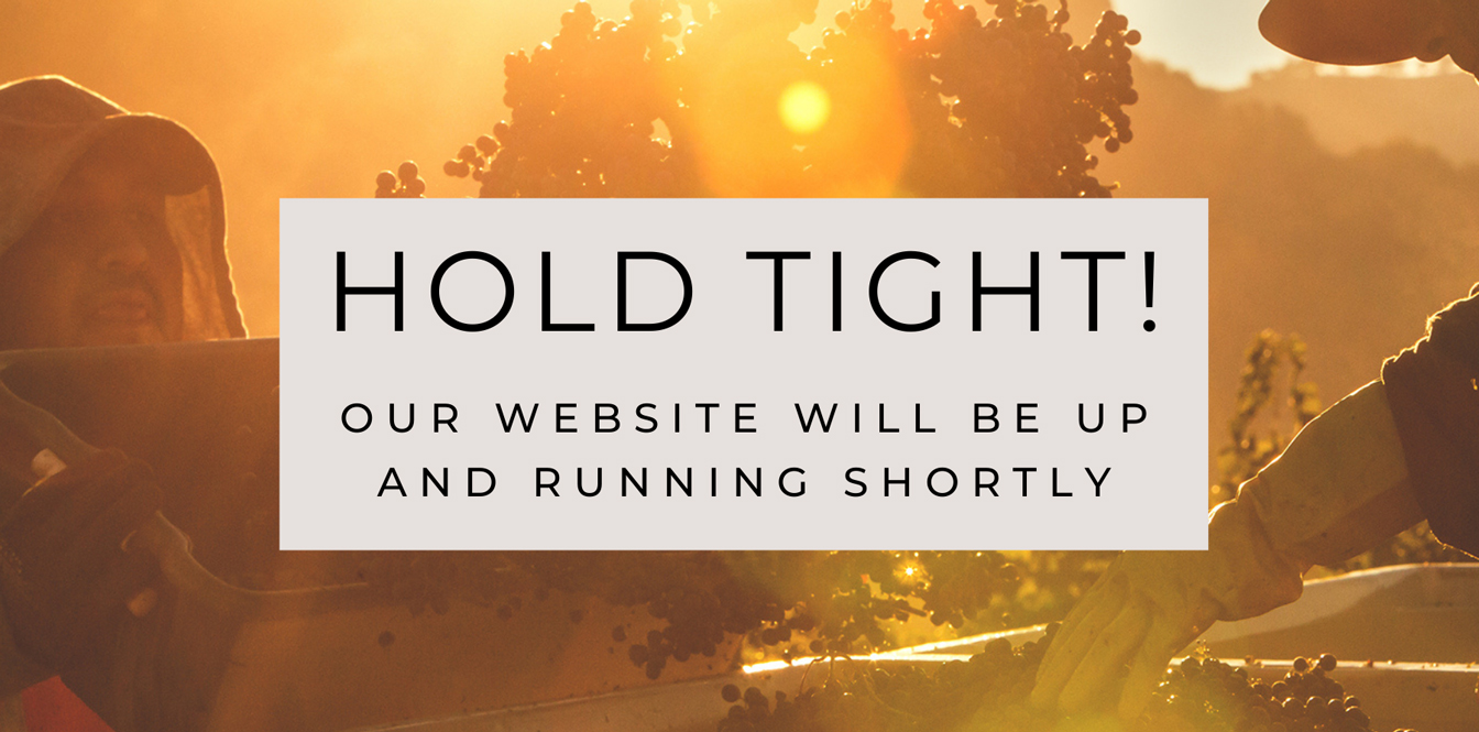 Upgrading Your Wine Experience